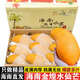 譯優(yōu)農 海南金煌芒水仙芒果當季新鮮現(xiàn)摘甜心特大芒三亞熱帶水果孕婦 5斤精品中果