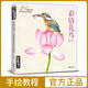 經(jīng)典全集 《彩鉛花鳥》繪畫入門教程書超寫實手繪花卉植物草臨摹畫冊花之繪成人0零基礎(chǔ)自學(xué)教材 楊建飛主