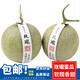 兄盟鮮果日本引種海南玫瓏蜜瓜爆甜網(wǎng)紋瓜玫垅蜜新鮮水果 2個(gè)裝（4.5-5斤左右）