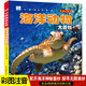 海洋動物大百科全書注音版海洋世界動物生物兒童書揭秘海底的秘密鯊魚繪本小學生科普書大探險一二年級課外書