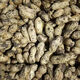 皓謙鮮花生帶殼5斤農(nóng)家自種新鮮濕花生生花生帶泥嫩花生可水煮 人工優(yōu)選實惠裝 3斤
