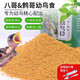 花卷寶寶八哥幼鳥食飼料通用鷯哥烏鶇畫眉專用營養(yǎng)易消化雛鳥八哥幼崽飼料 400ML