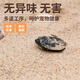 寵以沫（CHONG YIMO）烏龜冬眠孵化用細河沙魚缸裝飾造景底砂草龜鱷龜巴西龜下蛋用砂子 烏龜棉花砂5斤