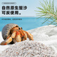 BARBAROUS GROWTH天然蟹沙寄居蟹專用沙砂菲律賓珊瑚沙貝殼砂魚缸造景底沙白海細沙 1袋裝（約500g）