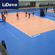 利德（LIDE）室內氣排球場(chǎng)地膠PVC運動(dòng)地板塑膠運動(dòng)地膠 BSW6.0mm