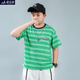 蘑菇兔（MOREGOTO）胖童t恤短袖男童夏季薄款寬松大碼12-14歲16初中生男孩條紋半袖潮 綠條 190加肥180斤左右