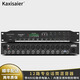 KAXISAIER ET12 專(zhuān)業(yè)12路話(huà)筒混音器48V供電麥克風(fēng)混響集線(xiàn)器 ET12 12路混音器