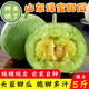 柏饞現(xiàn)摘頭茬綠寶石甜瓜新鮮水果綠寶甜瓜小香瓜應(yīng)季時(shí)令水果甜瓜當(dāng)季 5斤凈重4.5斤