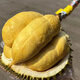 貓山王榴蓮整果帶殼新鮮果肉冷凍甜 8-9斤