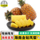 譯優(yōu)農(nóng)海南金鉆鳳梨新鮮水果 現(xiàn)摘樹上熟菠蘿大果手撕無眼爆甜多汁當(dāng)季 5斤精選裝【2-3個(gè)】