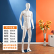 古達 全身模特道具男假人體塑料仿真模型西服裝店櫥窗拍攝衣服展示架 亮白色【光頭】左邁腿
