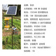 創(chuàng  )步戶(hù)外太陽(yáng)能殺蟲(chóng)燈花園滅蚊燈防水農用果園頻振式滅蟲(chóng)燈電擊飛蛾 12B雙網(wǎng)雙層】太陽(yáng)能殺蟲(chóng)燈整套