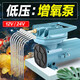 優(yōu)之星MPQ賣(mài)魚(yú)增氧泵12V/24V低壓直流式車(chē)載電瓶氧氣泵魚(yú)池海鮮活體運輸 MPQ-903【35W 】12V氣泵 配件套餐