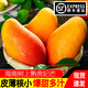 果戀匯（GUOLIANHUI）海南三亞樹(shù)上熟貴妃芒當季小芒果新鮮水果當季現貨整箱紅金龍順豐 凈重5斤裝（樹(shù)上熟）