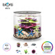 biOrb15L亞克力圓柱生態(tài)魚缸家用客廳桌面小型金魚缸創(chuàng)意造景魚缸套餐 15L缸體MCR燈+造景3