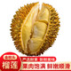 諸氏橙品【順豐】金枕榴蓮 泰國進(jìn)口水果 當季新鮮帶殼榴蓮A級鮮果整箱  A級果3-4斤（雙人享用）