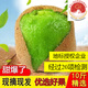 帆兒莊園現(xiàn)貨西峽綠心獼猴桃彌泥猴桃奇異果新鮮水果時令大果獼猴桃生鮮 90-110g24枚