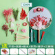 古風(fēng)干花團扇diy材料包手工制作永生花中國風(fēng)扇公司社區活動(dòng) 款式9【送全套材料含扇架】