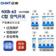 正泰（CHNT）空氣開關(guān)NXB-63 C型 小型斷路器 空氣開關(guān) 空開 正泰空開DZ47升級(jí) 100A（125殼架） 1P