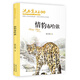 沈石溪畫(huà)本 情豹布哈依(新版)