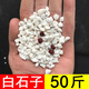 裕漫天50斤白色石子石頭大鵝卵石庭院鋪路鋪地小白石花園造景景觀(guān)白石子 50斤 雪花白石子0.3~0.6cm