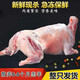 簡(jiǎn)滋內(nèi)蒙古羔羊肉生鮮現(xiàn)宰10-20斤烤全羊整羊新鮮燒烤食材 全羊整只17-18斤