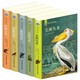 世界鳥類圖鑒（全5冊(cè) 全彩插圖 硬殼精裝版）精美函套，涵蓋世界五大洲鳥類，一套百科科普讀物，三大鳥類學(xué)家傳世著作  