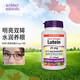 偉博（Webber Naturals）葉黃素玉米黃素成人中老年護眼膠囊 抗疲勞保護眼睛 防視疲勞 25mg175粒