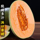 海南哈密瓜新鮮應(yīng)季水果一箱哈蜜瓜甜脆香瓜甜瓜網(wǎng)紋瓜現(xiàn)摘 哈密瓜帶箱5-6斤（2-3個）