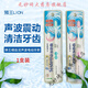 獅王牙刷 細(xì)齒潔聲波震動電動牙刷成人情侶兒童超細(xì)軟毛牙齦護(hù)理 1支 電動牙刷【粉色】+2替換頭