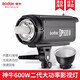 神牛DP600II 400II 1000II閃光燈影室攝影燈人像靜物電商產(chǎn)品拍照補光影棚燈 DP600II標配【單燈頭/閃光燈】