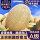 覓百果正宗新疆吐魯番哈密瓜西州蜜25號網(wǎng)紋甜瓜新鮮水果應(yīng)當(dāng)季整箱 凈重5-6斤【順豐】新疆直發(fā)