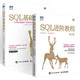 共2冊 SQL基礎(chǔ)教程 第2版+SQL進階教程 sql語言數(shù)據(jù)庫教程 計算機網(wǎng)絡(luò) 數(shù)據(jù)庫技術(shù)書籍