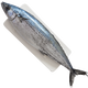 漁哥戲魚(yú) 青島大鲅魚(yú) 活凍海捕大鲅魚(yú)整條海魚(yú)馬鮫魚(yú)鲅魚(yú)段餡水餃 4斤/4條