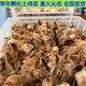 雞苗活體土雞小雞幼苗下綠殼產(chǎn)蛋雞青腳麻雞肉雞笨雞三黃雞五黑雞 土雞苗30只 優(yōu)質(zhì)雞苗