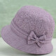 春秋老人帽子韓版中老年人奶奶大沿遮陽(yáng)帽女夏季中年媽媽涼帽布帽 淺紫色 均碼可調節