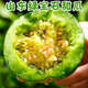 無名農(nóng)夫綠寶石甜瓜小香瓜蜜脆甜瓜頭茬新鮮應(yīng)季綠皮瓜水果整箱禮盒生鮮 9個(gè)果（單果150g-200g）