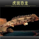 樂淘逸寵虎斑恐龍王魚紅眼恐龍魚活體遠(yuǎn)古魚珍怪魚大型熱帶風(fēng)水觀賞魚 虎斑恐龍20-22cm1條
