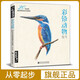 經(jīng)典全集《彩鉛動(dòng)物》手繪畫(huà)入門(mén)臨摹教程書(shū)籍彩色素描鉛筆飛樂(lè)昆蟲(chóng)鳥(niǎo)類(lèi)貓咪狗狗魚(yú)技法寶典零基礎(chǔ)初