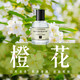 柏世曼（poacherman）花香香水花香味茉莉玫瑰百合桂花橙花香氛花香調香水 7號橙花30ml