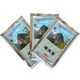 慶華（QINGHUA） 慶華場(chǎng)效應治療儀增效藥墊 增效包 家用場(chǎng)效應理療儀效應藥片包 藥包墊 5個(gè)增效墊