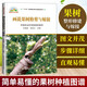 畫說果樹修剪與嫁接 果樹種植技術(shù)大全書嫁接技術(shù)圖解書果樹嫁接技巧書籍大全樹木果樹種植栽培技術(shù)書農(nóng)業(yè)書