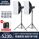 神牛（Godox）神牛（Godox） 閃客600W二代攝影燈影室高速同步閃光燈人像靜物影樓動(dòng)態(tài)抓拍影棚燈套裝拍照補(bǔ)光燈 閃客600II二代【兩燈】送x2高速引閃 尼康版