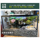 易萌 烏龜飼養雨林缸大型烏龜缸植物生態(tài)造景雨林缸別墅缸 100cm全景套餐