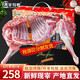 潮羊牧歌 寧夏灘羊肉 生鮮禮盒新鮮現(xiàn)宰半只羊 羊腿羊排羊蝎子火鍋食材 【6斤分割】2羊腿+2羊排+2蝎子