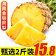 海南金鉆鳳梨  水果鳳梨 時(shí)令新鮮無(wú)眼手撕鳳梨 海南直發(fā) 2斤裝【凈果1斤】1個(gè)