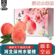 南步河北深州大蜜桃【順豐速運】馬莊特產(chǎn)水蜜桃大壽桃貢桃中秋送禮盒 5枚裝 果王【單果1斤+】禮盒裝