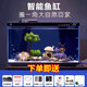 小米智能魚缸客廳辦公室桌面米家魚缸造景套裝遠(yuǎn)程喂食超白玻璃生態(tài)缸 小米魚缸+(豪華造景)+雙孔增氧泵+魚缸刷