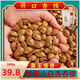 新疆小銀杏堅(jiān)果新貨開(kāi)口杏仁森王小白杏核奶香味白果500g特產(chǎn)零食 小白杏500g