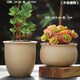 OEMG多肉花盆粗陶原土燒制無(wú)釉多肉植物陶瓷花盆簡(jiǎn)約創(chuàng  )意盆栽綠植拇指 7號9號粗陶2個(gè)